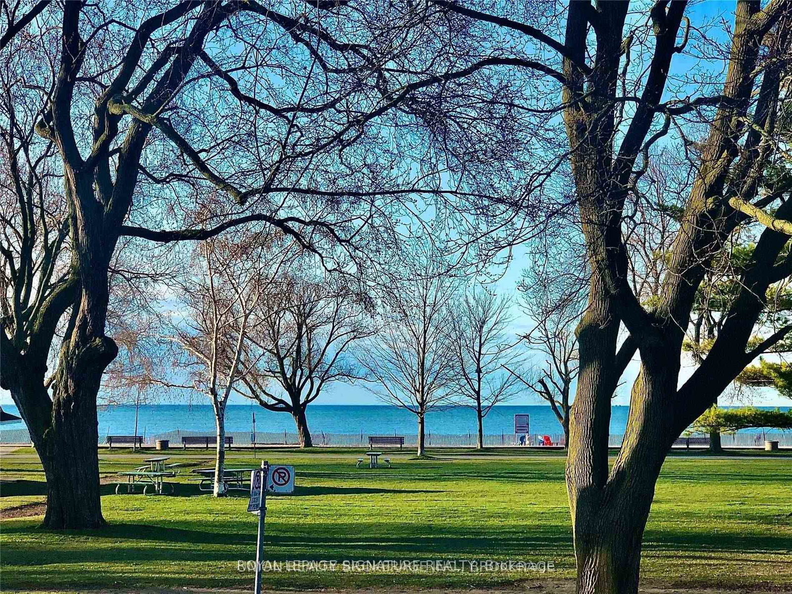 20-kew-beach-avenue-toronto-ontario-e13132398