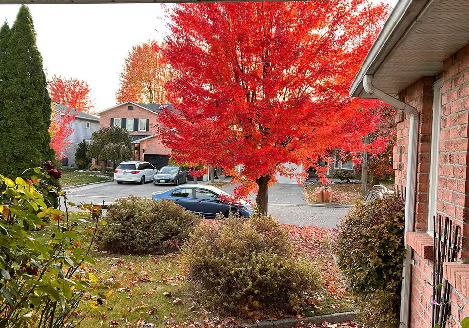 27-gladiola-court-whitby-ontario-e13167876