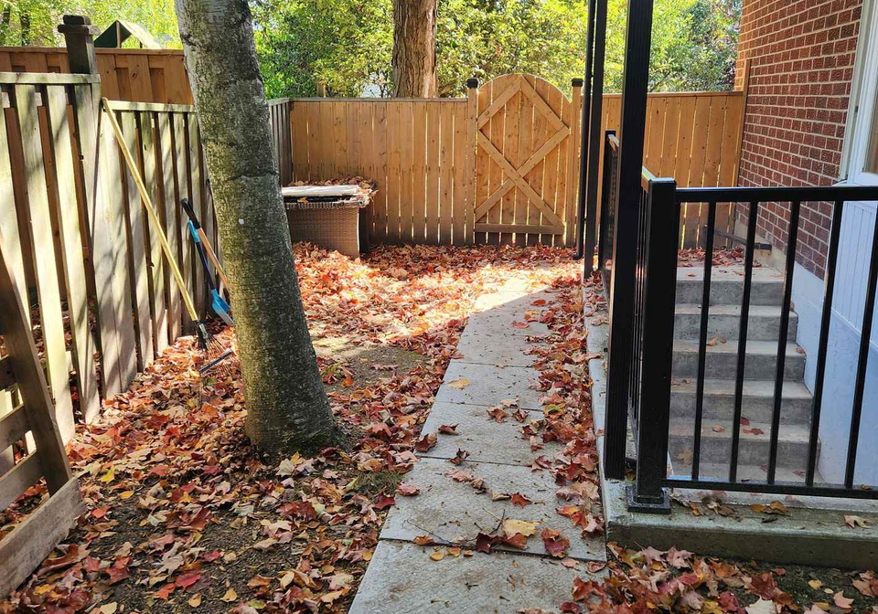 23-hartsville-avenue-scarborough-ontario-e13167916