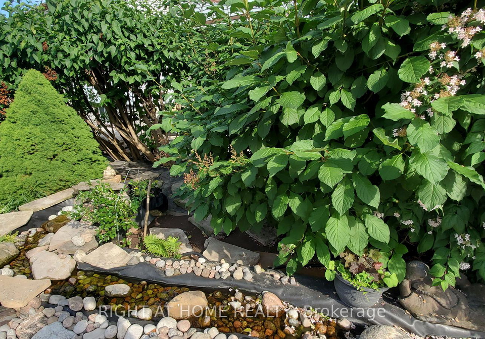 38-madelaine-avenue-toronto-scarborough-ontario-e13498364