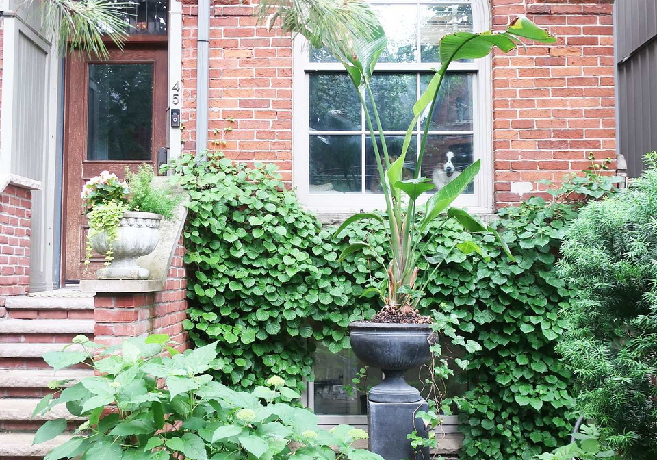 45-grant-street-toronto-toronto-ontario-e13499206