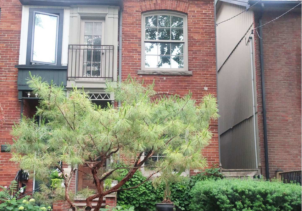 45-grant-street-toronto-toronto-ontario-e13499206