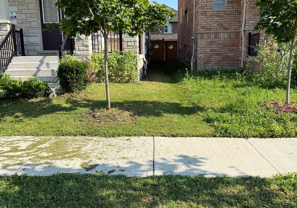 166-auckland-drive-whitby-ontario-e13529774