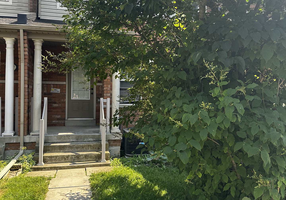 5535-lawrence-avenue-e-toronto-scarborough-ontario-e13548660