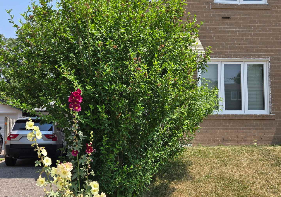 103-bergen-road-toronto-scarborough-ontario-e13567154