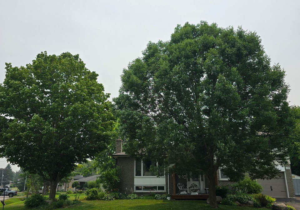 17-crestview-avenue-scugog-ontario-e13577050