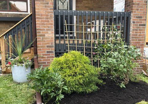 12-orley-avenue-toronto-east-york-ontario-e13585894