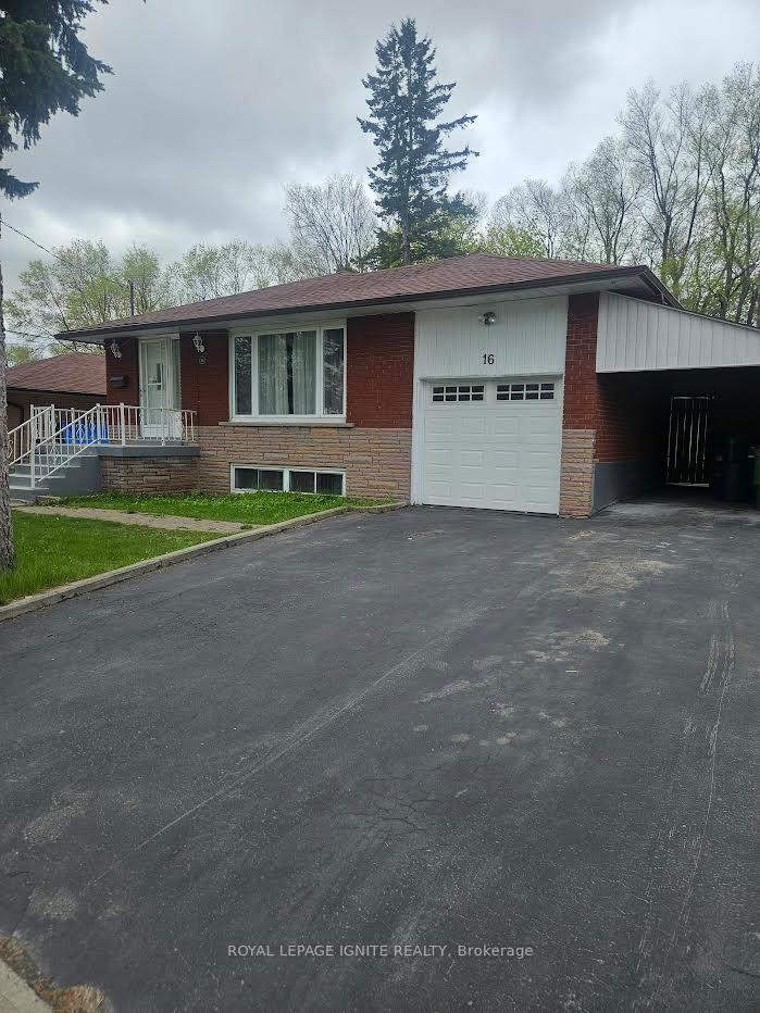 16-cicerella-crescent-toronto-scarborough-ontario-e13593184