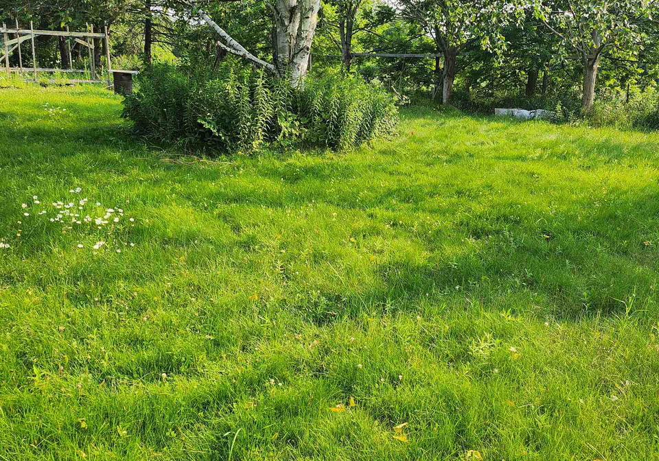 3837-highway-2-road-clarington-ontario-e13595870