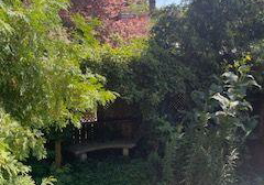 7-wiley-avenue-toronto-east-york-ontario-e13637672