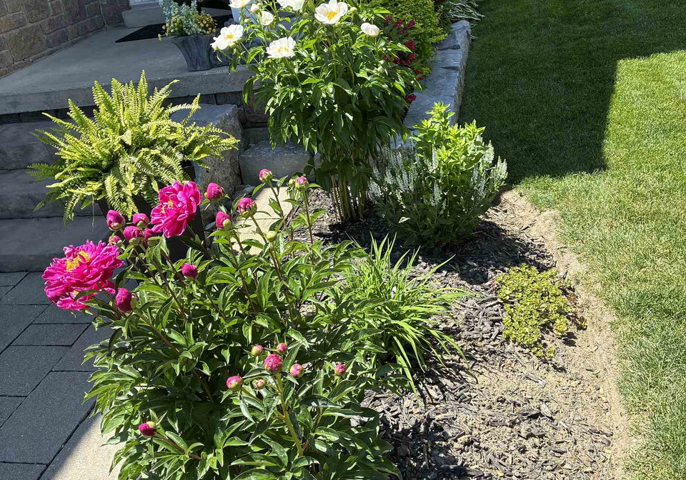 62-rafton-street-clarington-ontario-e13701780
