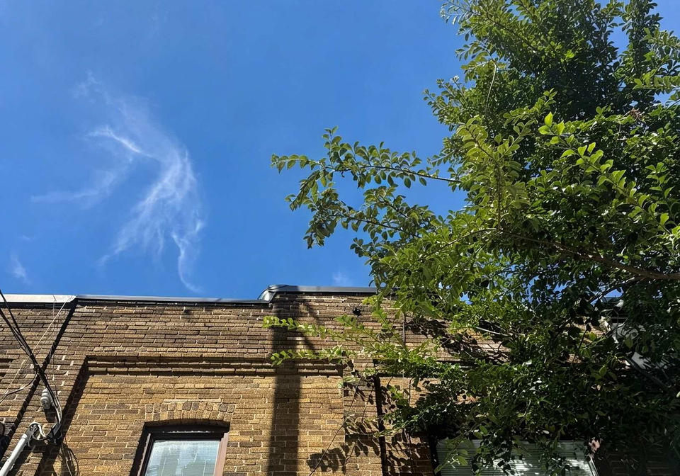 1044-kingston-road-toronto-toronto-ontario-e13821868