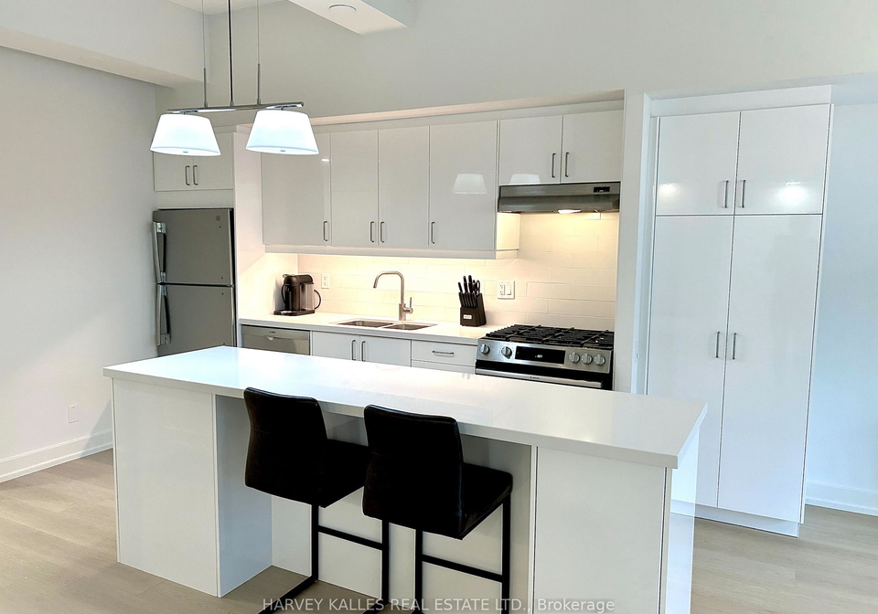 233-carlaw-avenue-toronto-toronto-ontario-e13824154