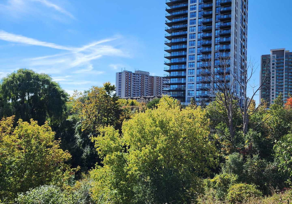 1255-bayly-street-pickering-ontario-e13848102