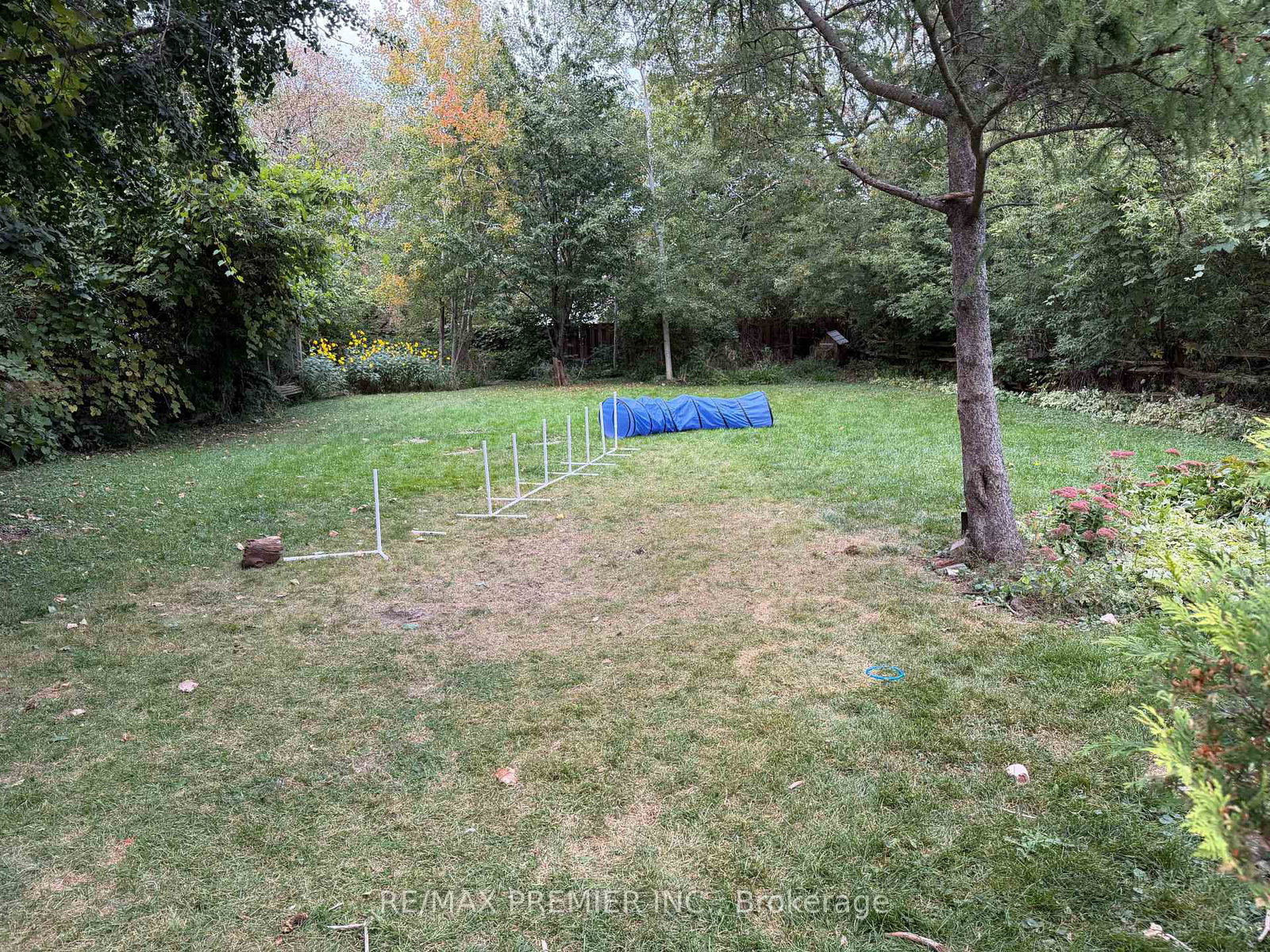 1717-charles-street-whitby-ontario-e13849430