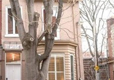 159-logan-avenue-toronto-ontario-e3158130