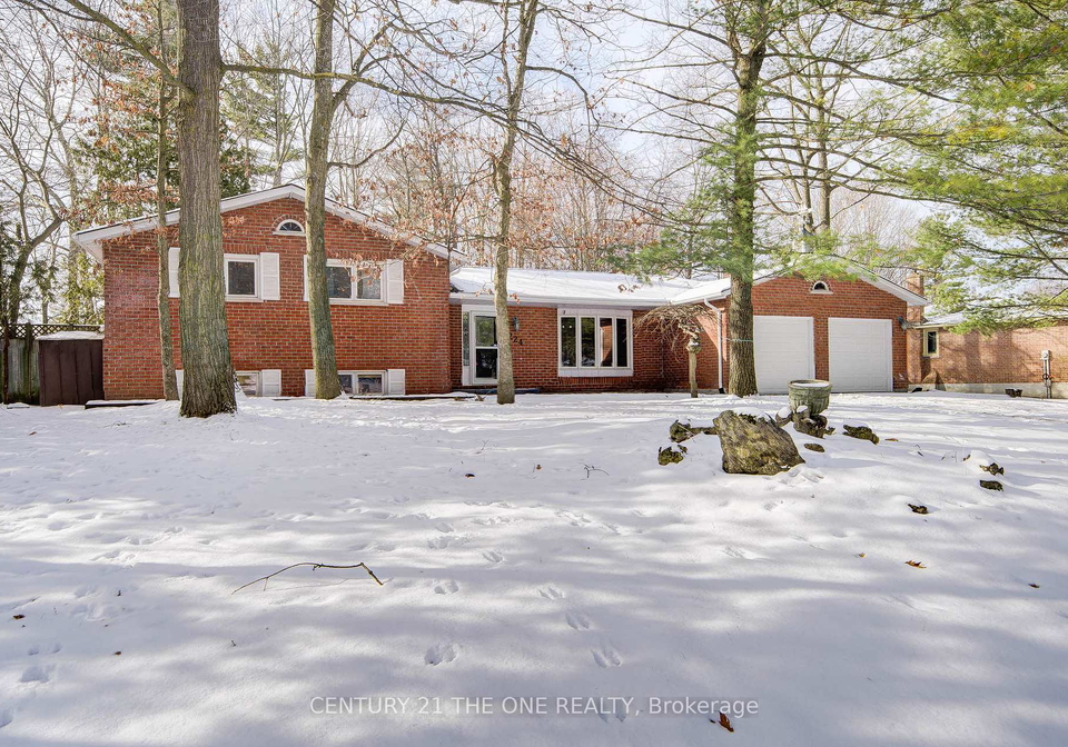 224-park-avenue-east-gwillimbury-ontario-n11959115