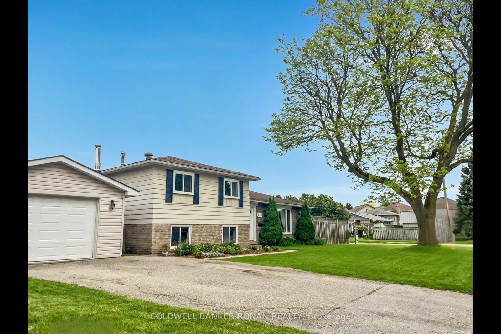 238-mackenzie-street-new-tecumseth-ontario-n12046026