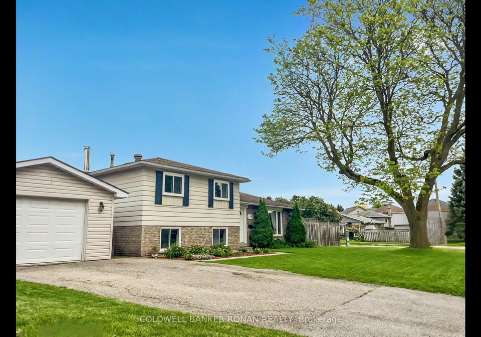 238-mackenzie-street-new-tecumseth-ontario-n12046026