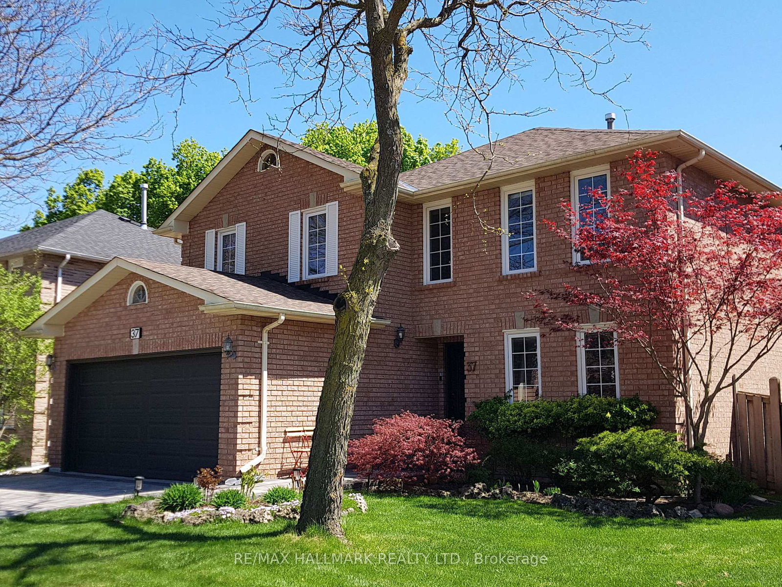 37-elmsley-drive-richmond-hill-ontario-n12049050