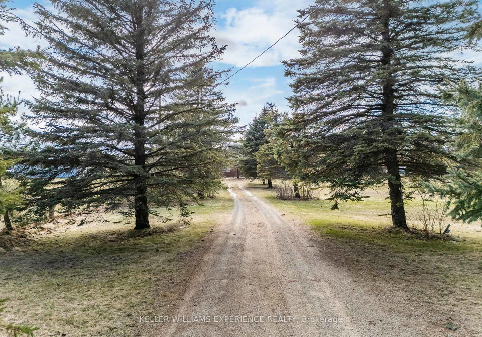 7078-county-56-road-essa-ontario-n12098022