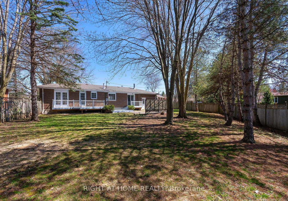 17-oak-street-new-tecumseth-ontario-n12107574