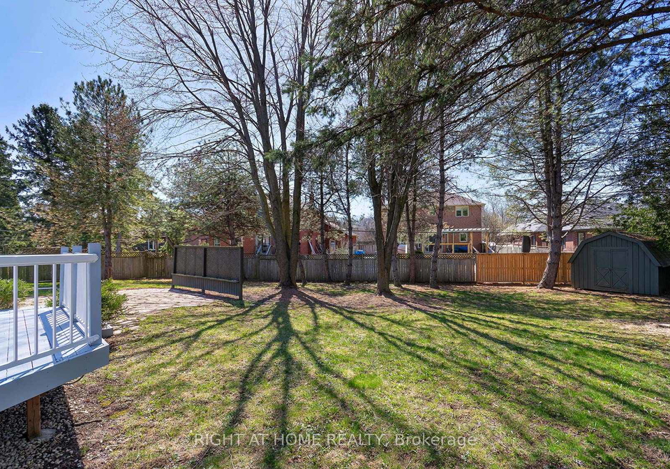 17-oak-street-new-tecumseth-ontario-n12107574