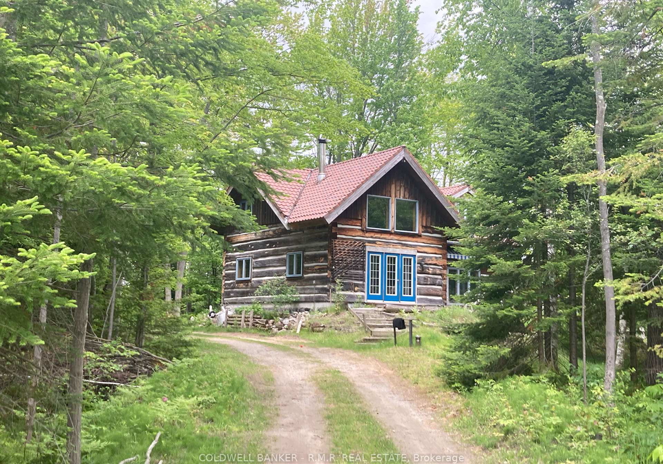 9136-ravenshoe-road-georgina-ontario-n12147020