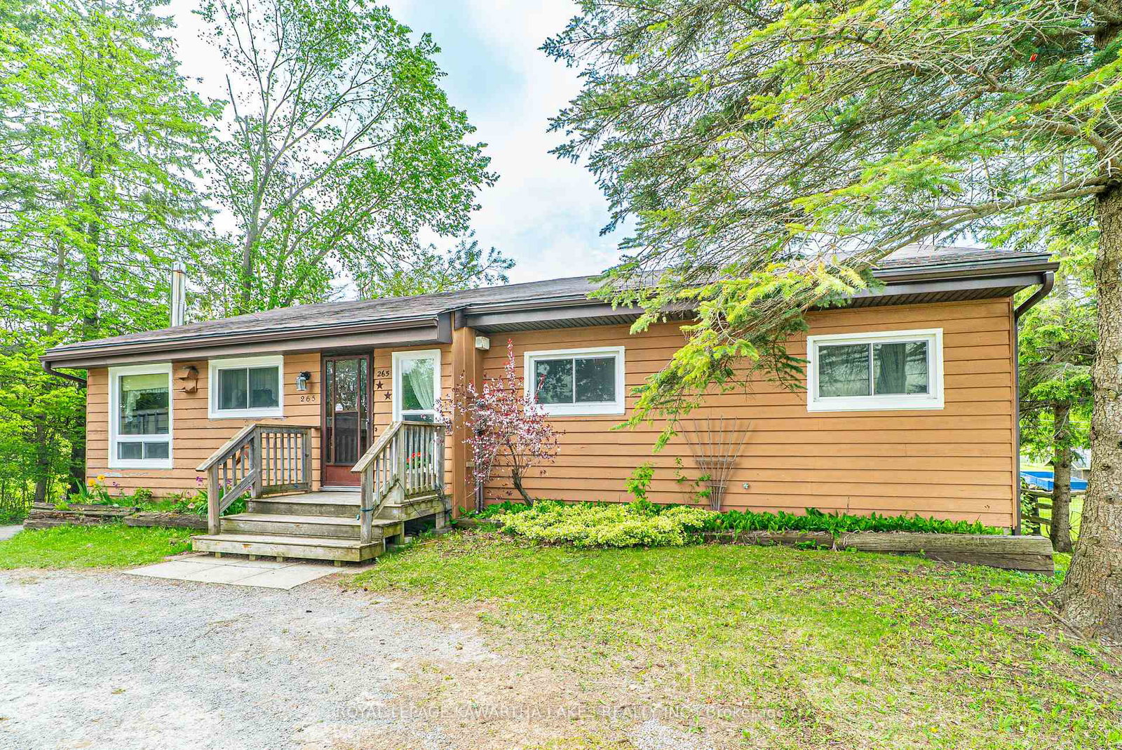 265-cameron-street-e-brock-ontario-n12165261