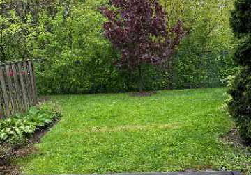 40-castle-rock-drive-richmond-hill-ontario-n12165876