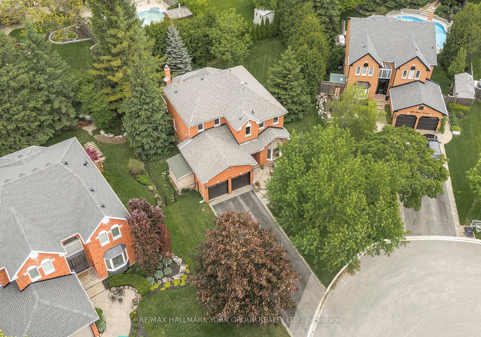 295-binns-avenue-newmarket-ontario-n12182430