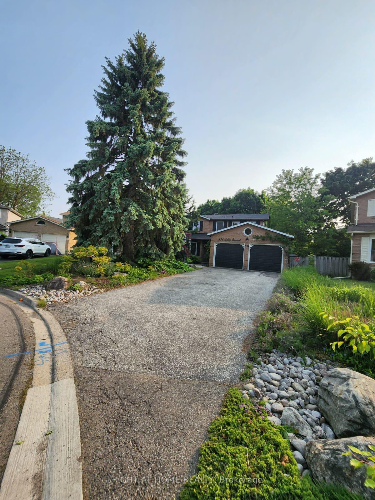 376-selby-crescent-newmarket-ontario-n12196597
