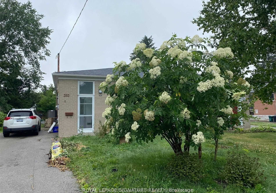 393-browndale-crescent-richmond-hill-ontario-n12198059