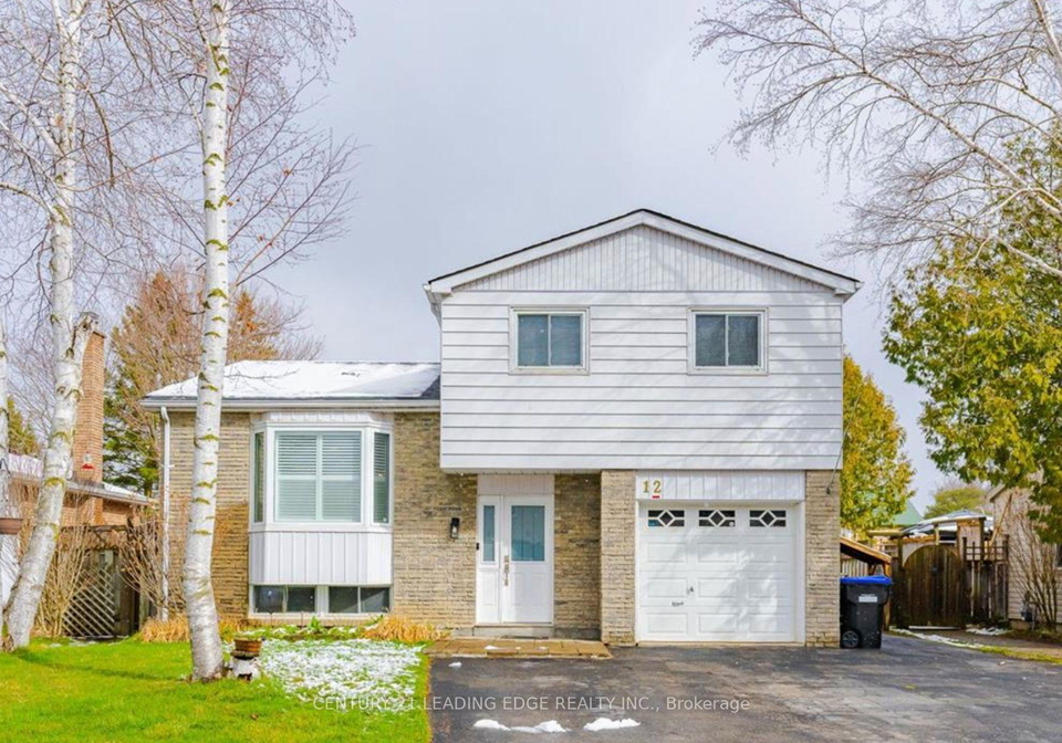 12-mckeown-street-new-tecumseth-ontario-n12216047