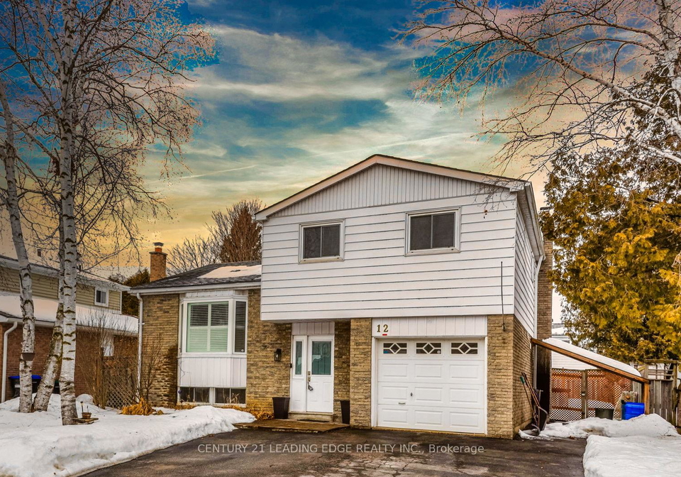 12-mckeown-street-new-tecumseth-ontario-n12216047
