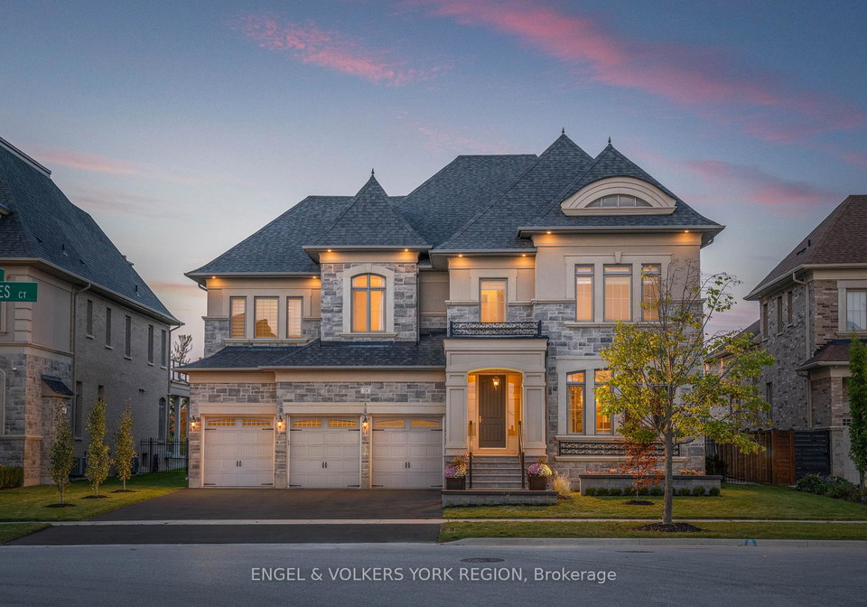 24-james-stokes-court-king-ontario-n12217477