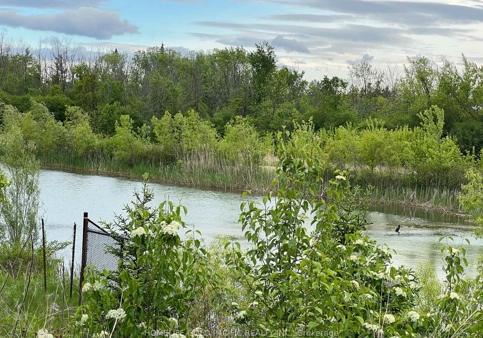 89-riley-reed-lane-richmond-hill-ontario-n12220066