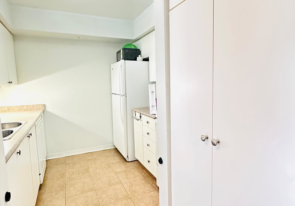102-old-kennedy-road-markham-ontario-n12222301