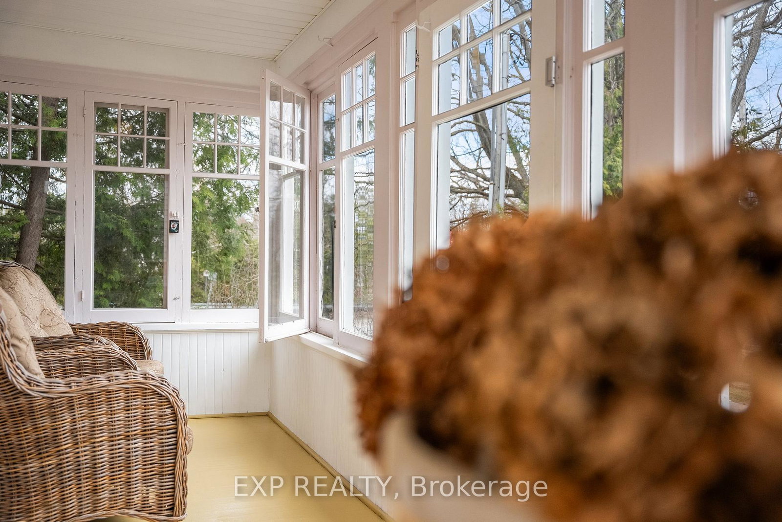 417-north-street-brock-ontario-n12234788