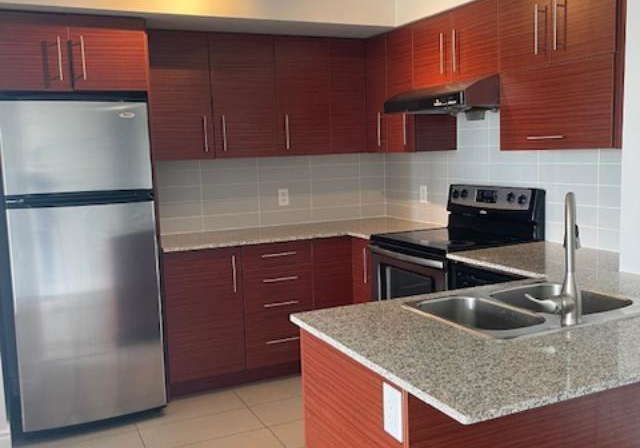 253-south-park-road-markham-ontario-n12245720