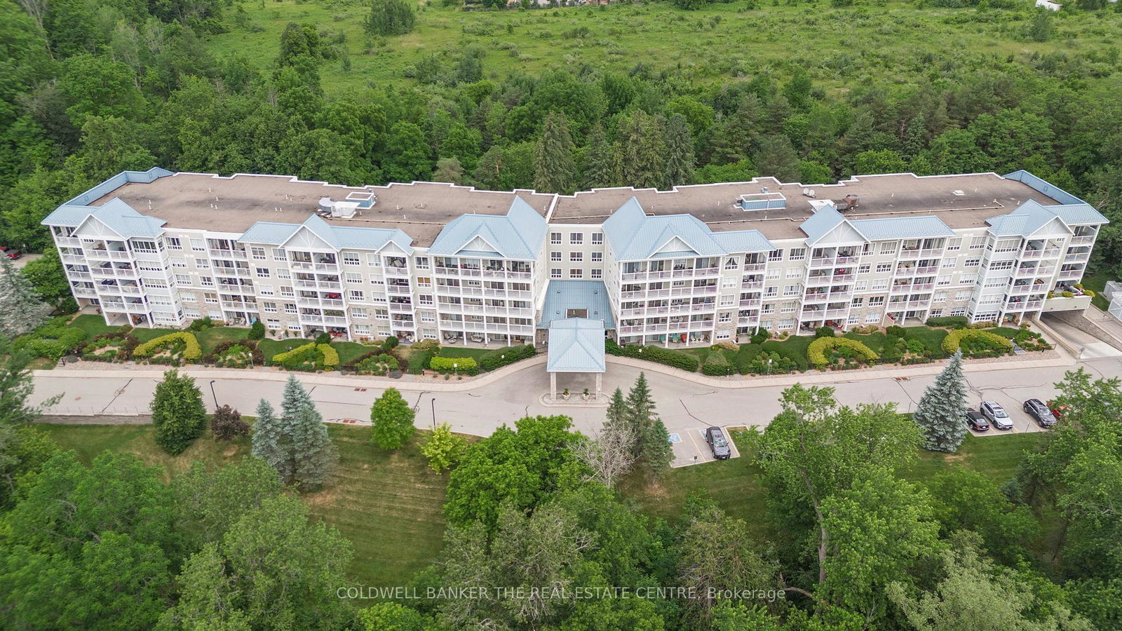 900-bogart-mill-trail-newmarket-ontario-n12249258