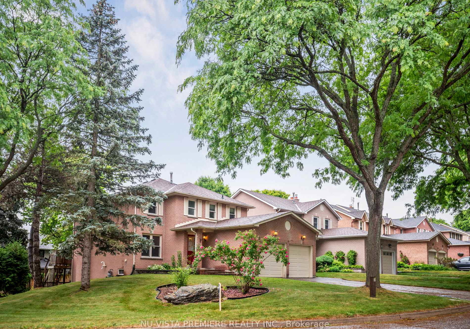 5-mendys-forest-aurora-ontario-n12249437