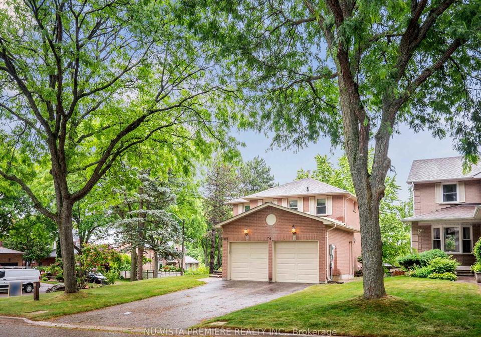 5-mendys-forest-aurora-ontario-n12249437