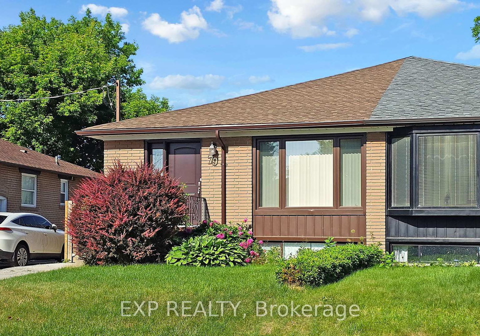 79-walter-avenue-newmarket-ontario-n12252135