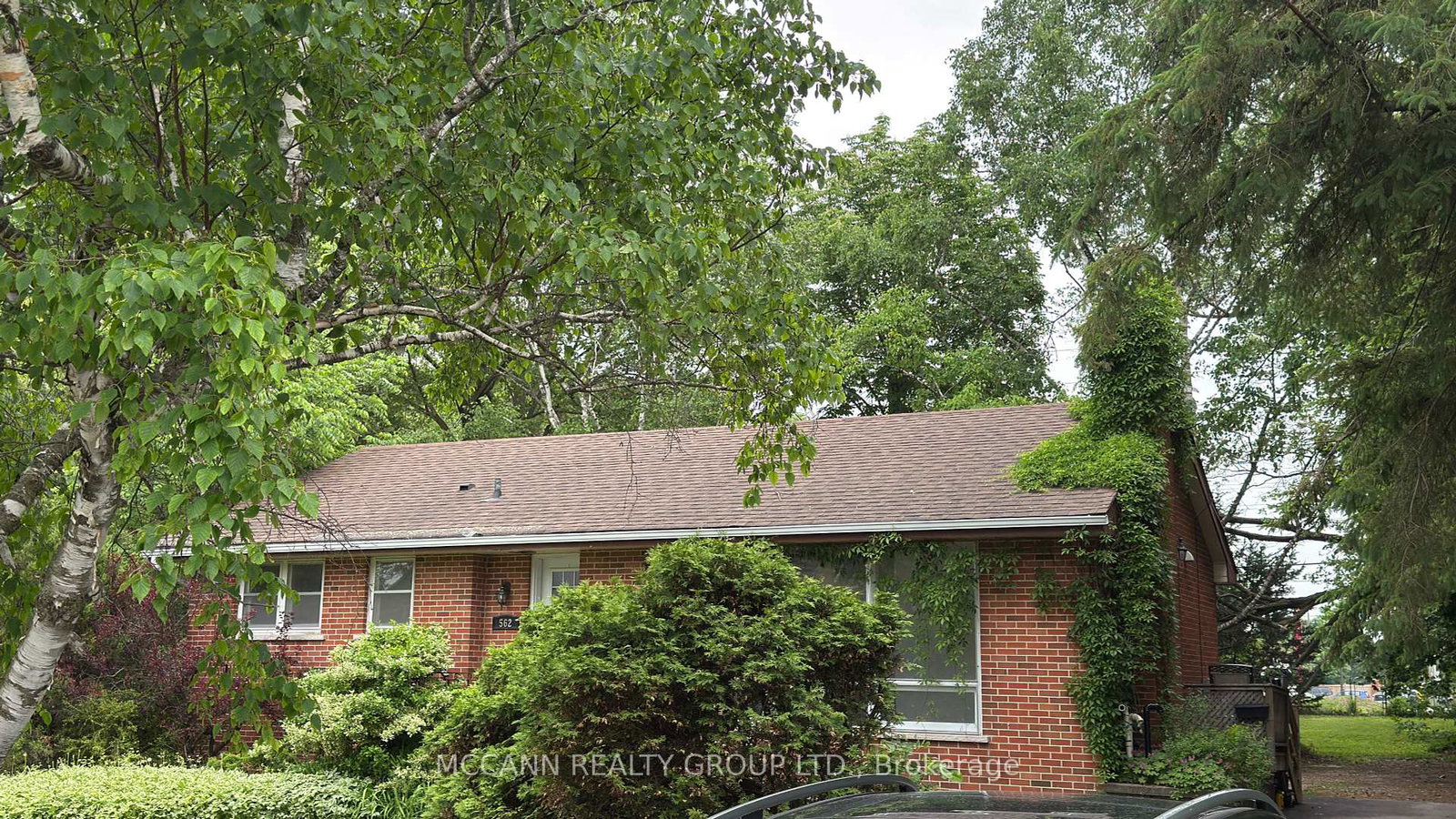 562-mulock-court-newmarket-ontario-n12268151