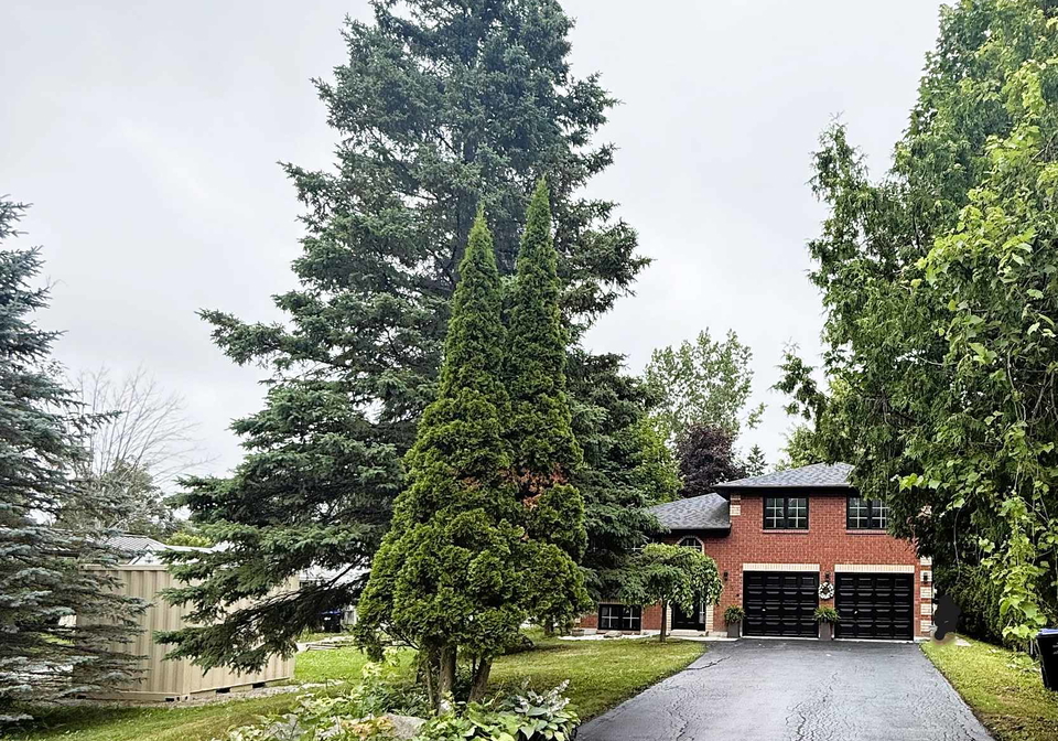 2155-raynor-court-innisfil-ontario-n12275838