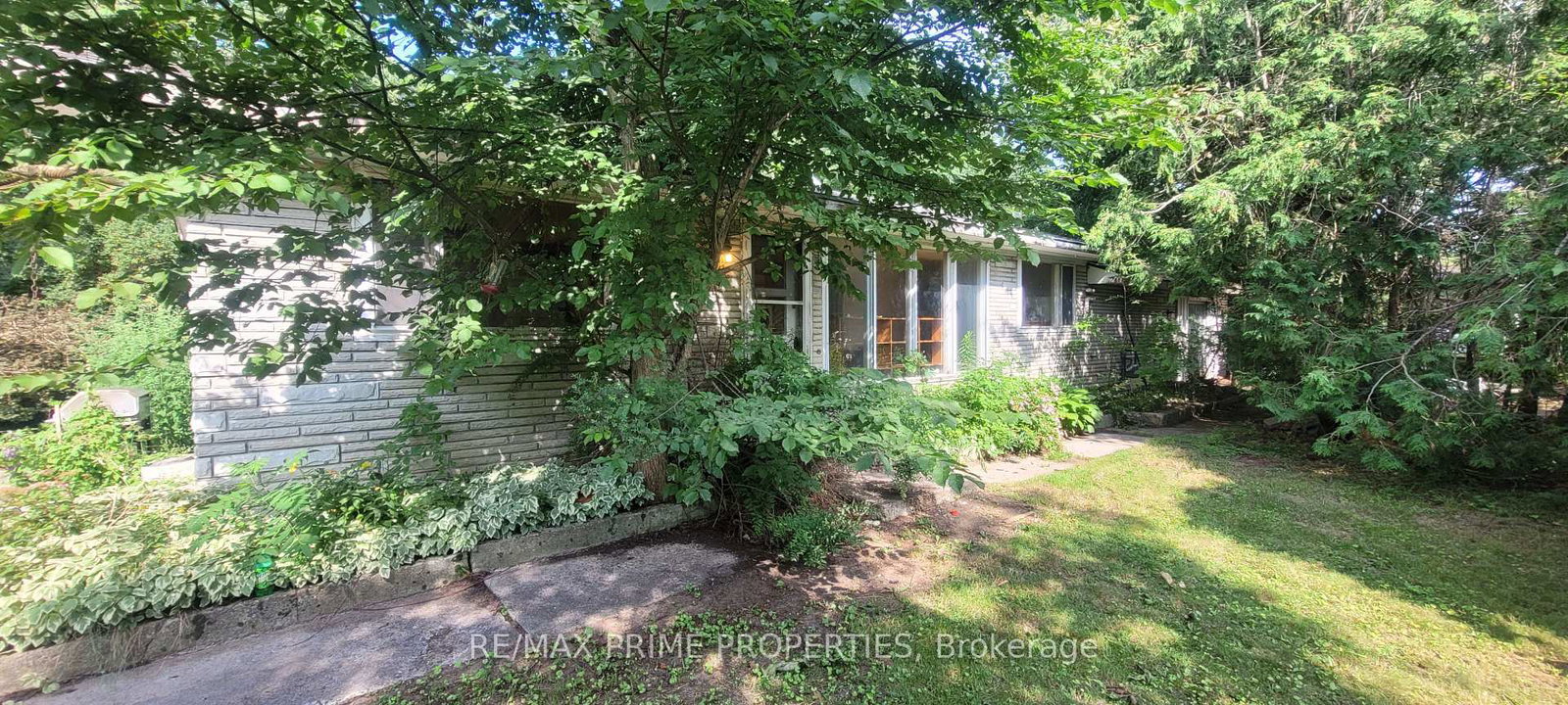 6-maple-avenue-georgina-ontario-n12278361