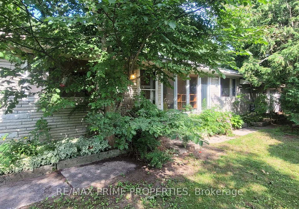 6-maple-avenue-georgina-ontario-n12278361