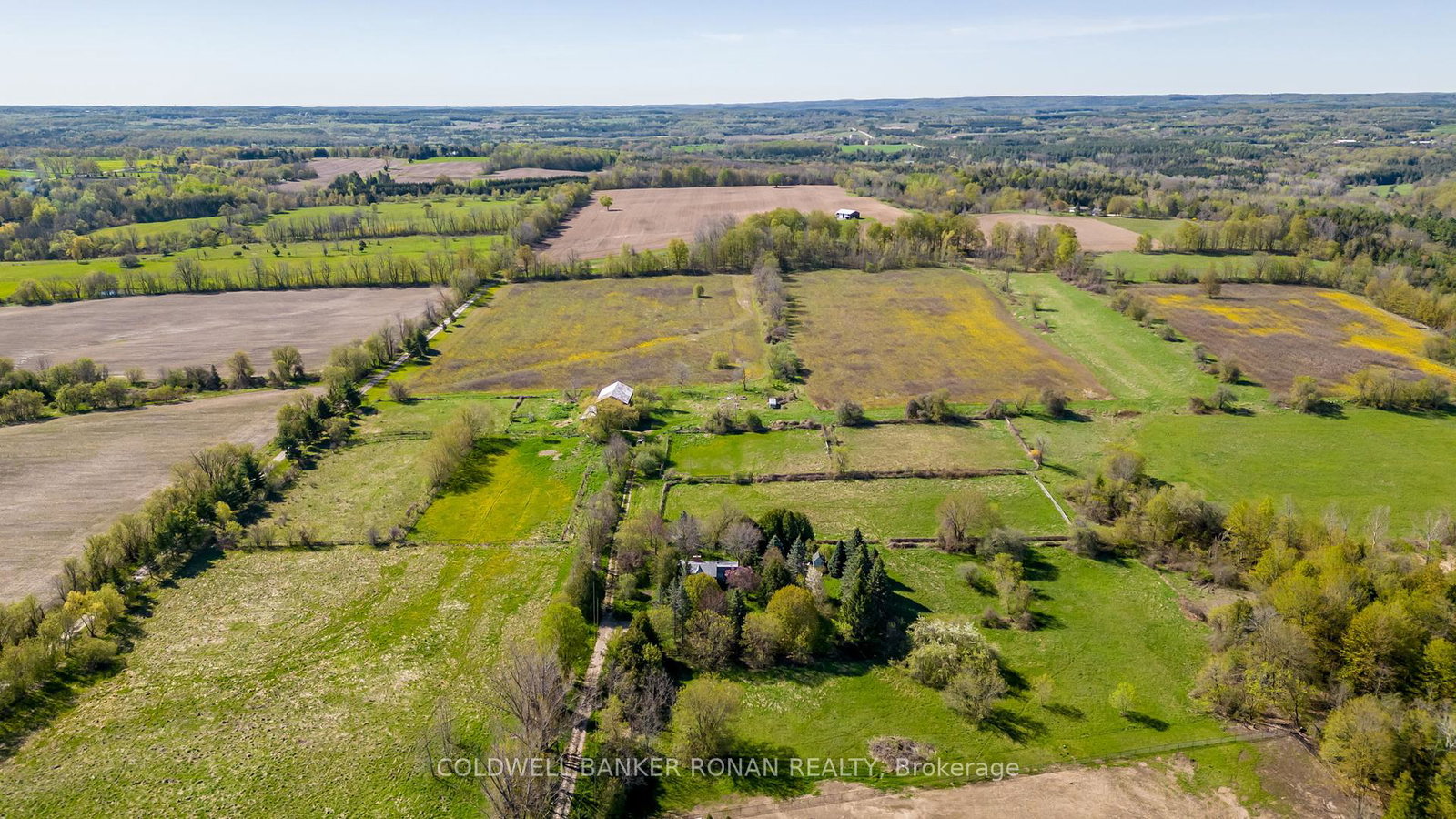 8689-county-road-1-na-adjala-tosorontio-ontario-n12298304