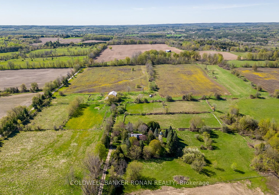 8689-county-road-1-na-adjala-tosorontio-ontario-n12298304